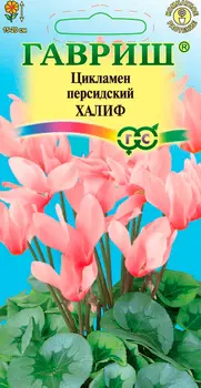 Семена Гавриш Цикламен персидский Халиф, 3 шт.