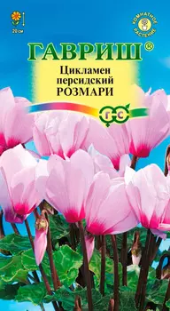 Семена Гавриш Цикламен персидский-мини Розмари, 3 шт.