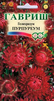 Семена Гавриш Гелихризум Пурпуреум, 0,2 г