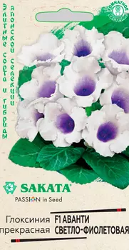 Семена Гавриш Глоксиния Аванти Светло-фиолетовая F1, 5 шт. Sakata