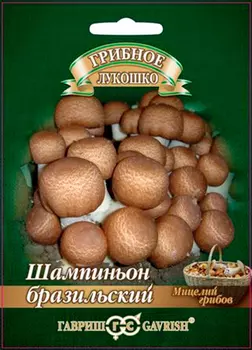 Семена Гавриш Гриб Шампиньон Бразильский на зерновом субстрате, 15 мл