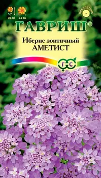 Семена Гавриш Иберис зонтичный Аметист, 0,2 г