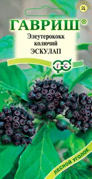 Семена Гавриш Элеутерокок колючий Эскулап, 3 шт.