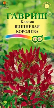 Семена Гавриш Клеома Вишневая королева, 0,3 г