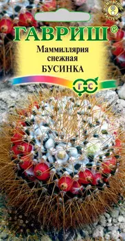 Семена Гавриш Маммиллярия Бусинка, 2 шт.