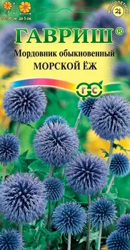 Семена Гавриш Мордовник Морской еж, 0,3 г