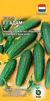 Семена Гавриш Огурец Адам F1, 5 шт. Bejo (Голландия)