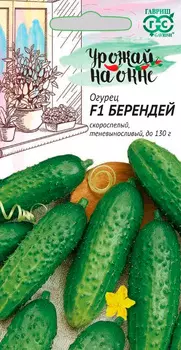 Семена Гавриш Огурец Берендей F1, 10 шт. Урожай на окне