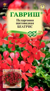 Семена Гавриш Пеларгония ампельная Беатрис, 3 шт.