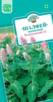Семена Гавриш Шалфей мускатный Вознесенский 24, 0,3 г