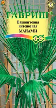 Семена Гавриш Вашингтония нитеносная Майами, 3 шт.