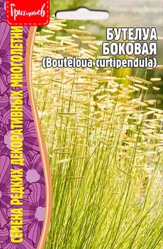 Семена Григорьев Бутелуа Боковая (Bouteloua curtipendula), 0,1 г Семена Редких Растений