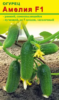 Семена Элком Семена Огурец Амелия F1, 10 шт.