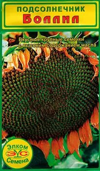Семена Элком Семена Подсолнечник Боллил, 2 г
