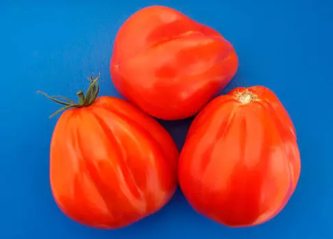 Семена Элком Семена Томат Тюрбан Магриба, 5 шт.