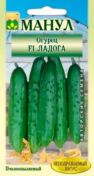 Семена Манул Огурец Ладога F1, 12 шт. Авторские семена