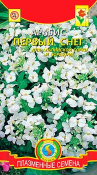 Семена Плазмас Арабис Первый снег, 0,1 г