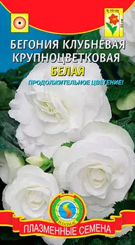 Семена Плазмас Бегония клубневая крупноцветковая Белая, 5 драже