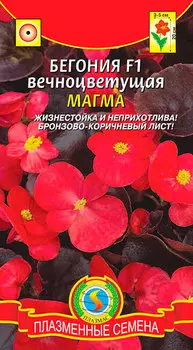 Семена Плазмас Бегония вечноцветущая Магма F1, 10 драже