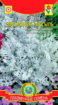 Семена Плазмас Цинерария Серебряная россыпь, 100 шт.