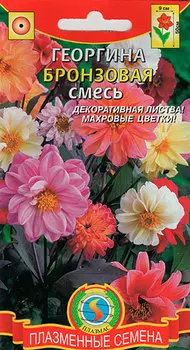 Семена Плазмас Георгина Бронзовая, Смесь, 12 шт.