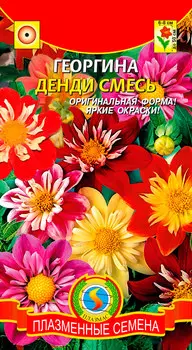 Семена Плазмас Георгина Денди, Смесь, 13 шт.