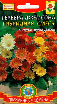 Семена Плазмас Гербера Джемсона, Смесь гибридная, 10 шт.