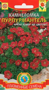 Семена Плазмас Камнеломка Пурпурмантель, 0,01 г