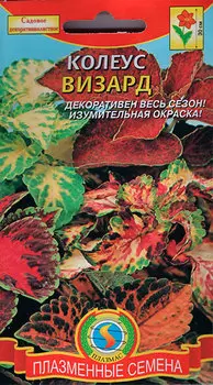 Семена Плазмас Колеус Визард, Смесь, 10 шт.(ПС)