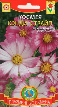 Семена Плазмас Космея Кэнди Страйп, 30 шт.