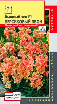 Семена Плазмас Львиный зев Твинни (Twinny™) Персиковый звон F1, 10 шт. Профессиональная коллекция