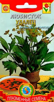 Семена Плазмас Любисток Удалец, 0,3 г