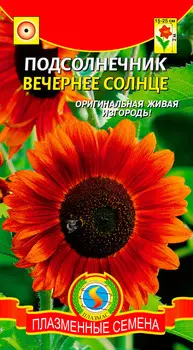 Семена Плазмас Подсолнечник Вечернее солнце, 12 шт.