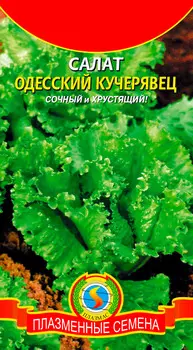 Семена Плазмас Салат Одесский кучерявец, 0,9 г