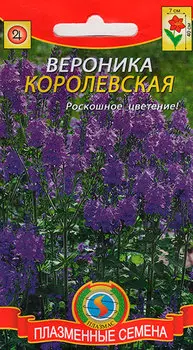 Семена Плазмас Вероника Королевская, 0,1 г