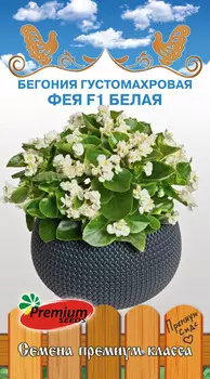 Семена Premium seeds Бегония густомахровая Фея Белая F1, 5 шт. Любовь да голуби