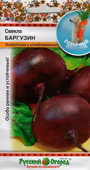 Семена Русский огород Свекла Баргузин, 3 г Северные овощи