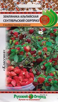 Семена Русский огород Земляника альпийская Сентябрьский сюрприз, 0,05 г