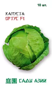 Семена Сады Азии Капуста белокочанная Ортус F1, 10 шт. Takii