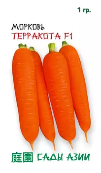 Семена Сады Азии Морковь Теракота F1, 1 г Takii