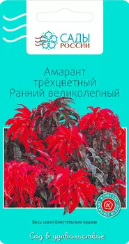 Семена Сады России Амарант трехцветный Ранний Великолепный, 0,1 г