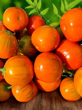 Семена Сады России Баклажан Африка, 10 шт.