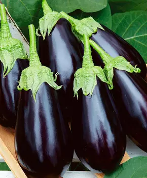 Семена Сады России Баклажан Ультраранний F1, 10 шт.