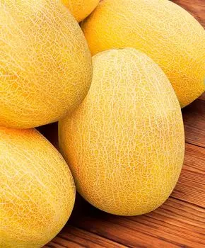 Семена Сады России Дыня Саммит F1, 3 шт.