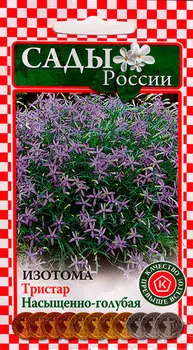 Семена Сады России Изотома Тристар Насыщенно-Голубая, 5 шт.