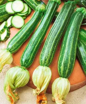 Семена Сады России Кабачок Тапир, 5 шт.