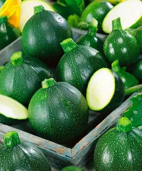 Семена Сады России Кабачок Тондо F1, 5 шт.