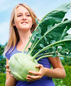 Семена Сады России Капуста кольраби Гигантская F1, 12 шт.