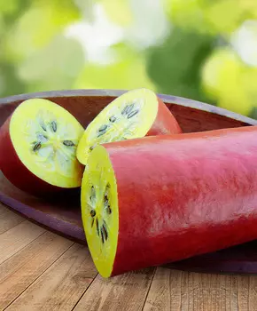 Семена Сады России Кассабанана Рамберт, 3 шт.