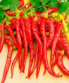 Семена Сады России Перец сладкий Артист F1, 5 шт. Домашний огород